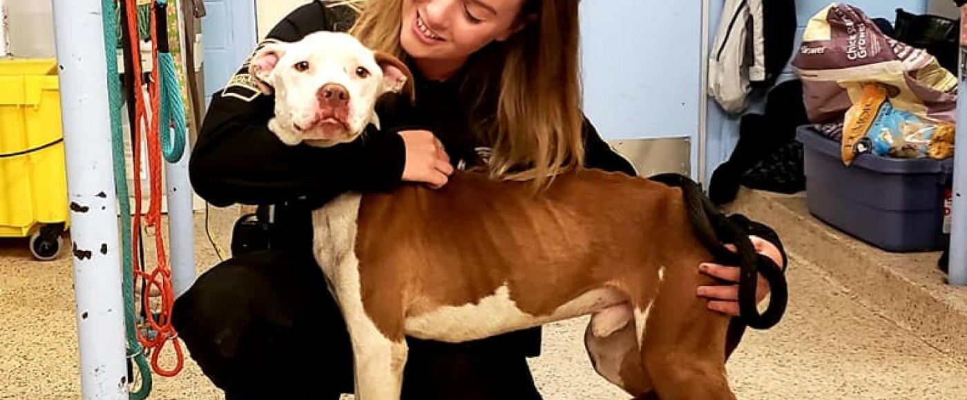 PSPCA LANCASTER CENTER HOSTS SANTA CLAWS & PAWS DONATION